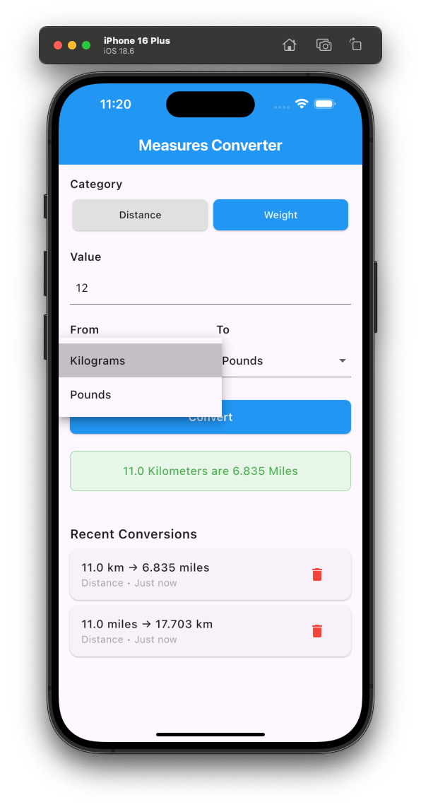 iPhone Measurement Log 2